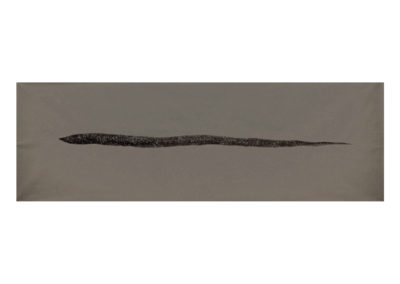 Anguila demar 2015 Acrílico sobre papel 90x269,5cm