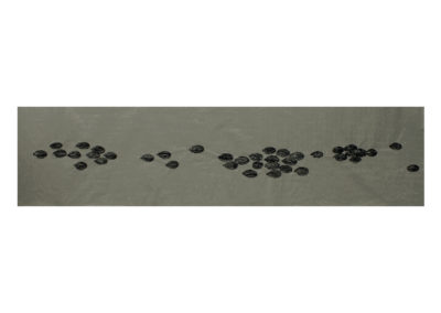 La senda de los escarabajos 2013 Tinta china y acrilico sobre papel 90x418cm